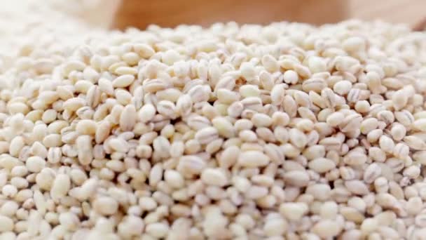 Scooping Dried Barley — ストック動画