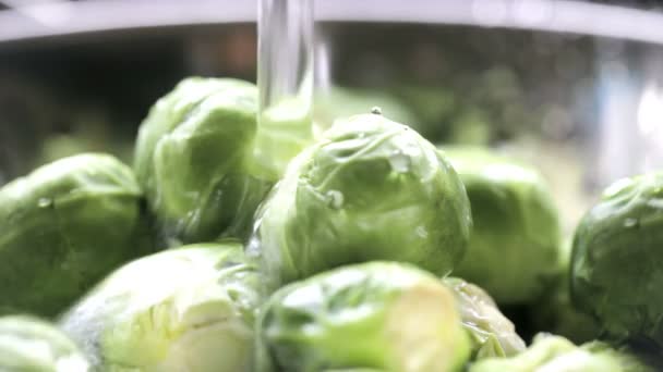 Rinsing Fresh Sprouts — Stok video