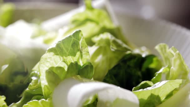Salata Yağı Dökülüyor Taze Marul Yapraklarının Üzerine — Stok video