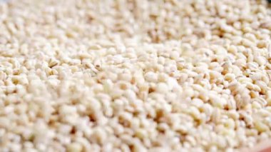 Arpa yığınının üzerine dökülen kuru inci arpayı kapat.