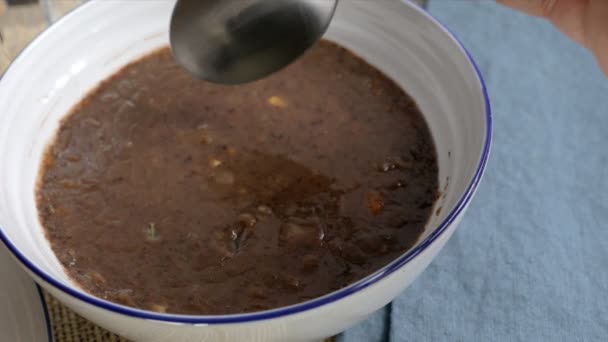 Cuillère Soupe Haricots Noirs Dans Bol — Video