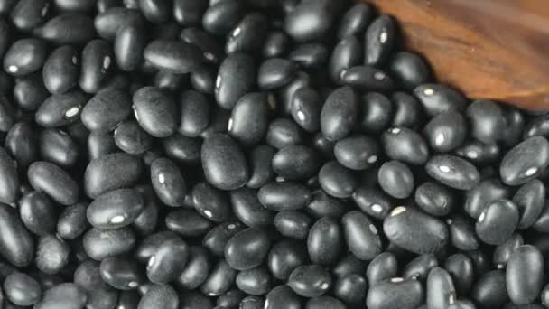 Primer Plano Cuchara Madera Recogiendo Frijoles Negros — Vídeos de Stock