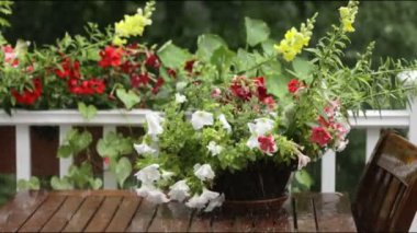 Outdoor table with flowers during a heavy rain storm.