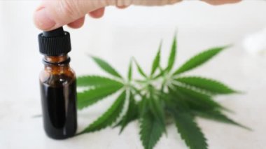 Parmaklarını kapat ve yanında marihuana yaprakları olan bir şişe CBD yağını çıkar..