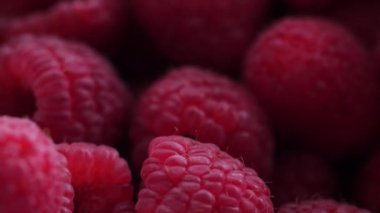 Raspberries landing on pile, close up with camera movement