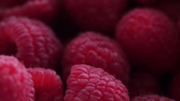 Raspberries Landing Pile Close Camera Movement — Videoclip de stoc