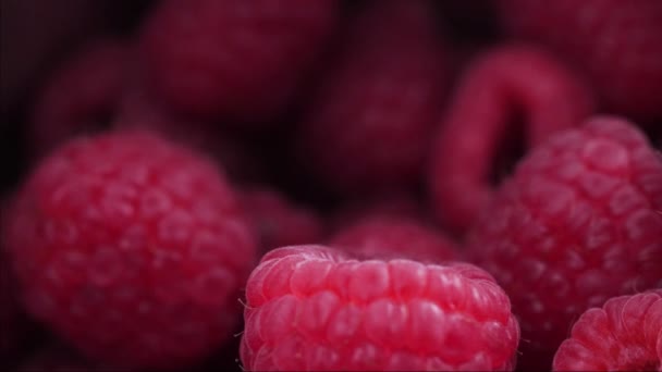 Close Camera Tracking Fresh Raspberries — 图库视频影像