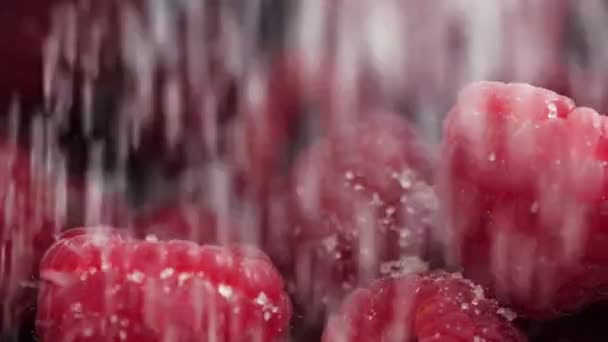 Sugar Falling Fresh Red Raspberries Close Camera Tracking — Stock video