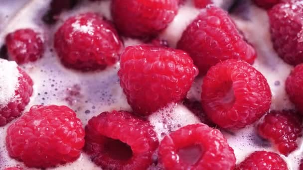 Raspberries Sauce Pan Coming Boil Time Lapse — ストック動画