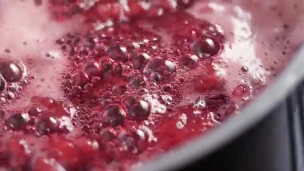 Boiling Raspberry Sauce Being Stirred Close — Stok video