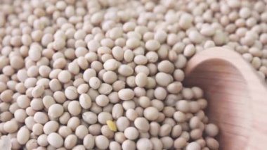 Close up of wooden spoon scooping soybeans