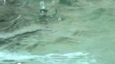 Rippling water sufrace close-up