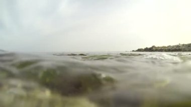 Waves coming in and completely covering camera with view of underwater seaweed.