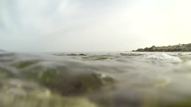 Waves Coming Completely Covering Camera View Underwater Seaweed — ストック動画