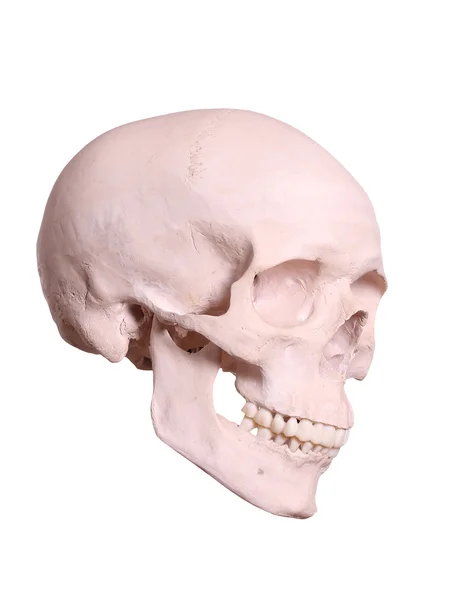 Upiorny czaszki — Zdjęcie stockowe