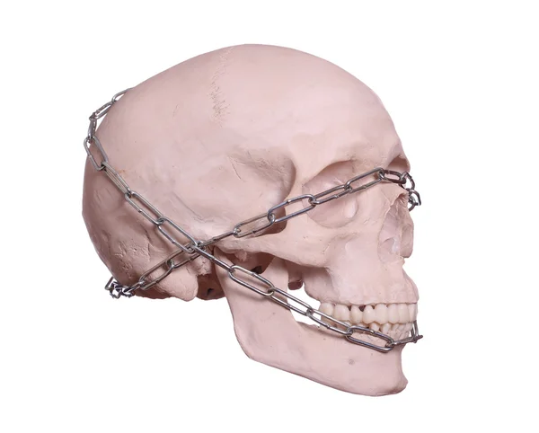 Captured skull with chain — Stock Photo, Image