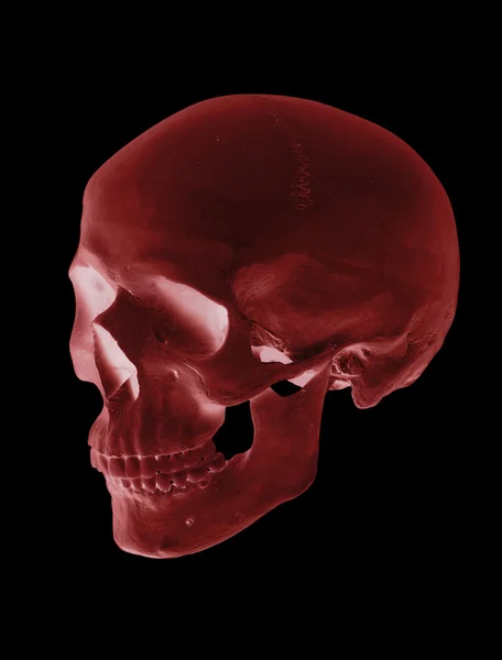 Isolated red cranium — Stock Photo, Image