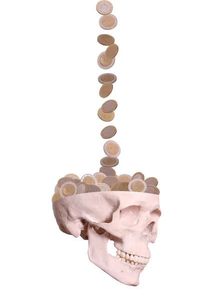 European coins drops in skull — Stock Photo, Image