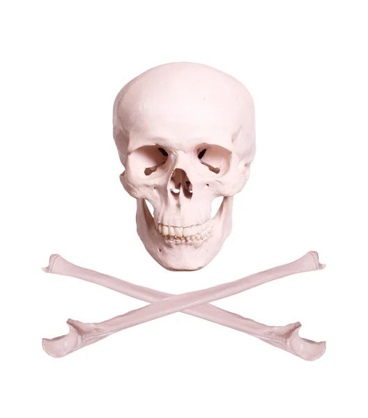 Skull and crossbones — Stock Photo, Image