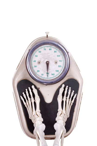 ölçekte iskelet bacaklar