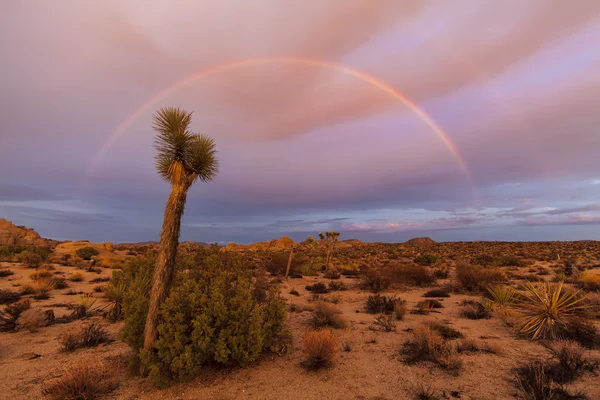 Arc-en-ciel et roches . — Photo