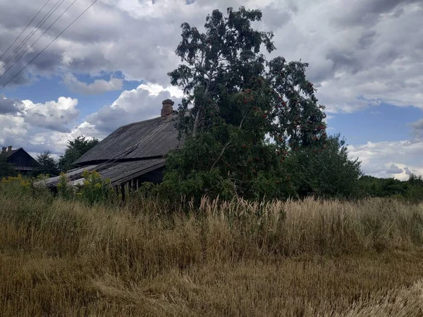 Altes Verlassenes Dorfhaus Auf Einem Feld — Stockfoto