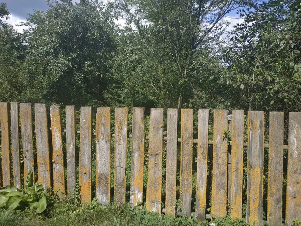 Terk Edilmiş Bir Köyde Liken Kaplı Bir Çit — Stok fotoğraf