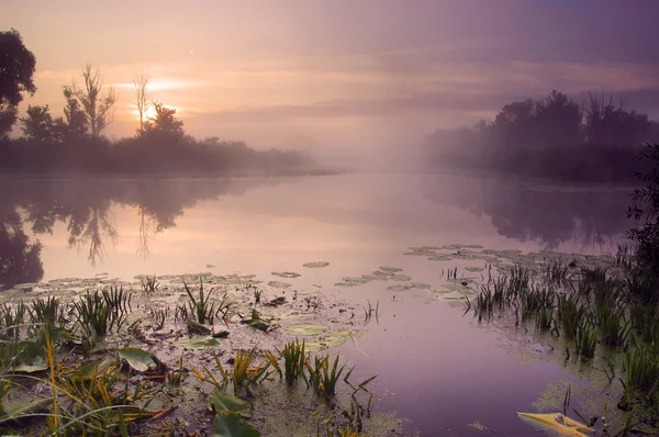 Landschap van ochtend zonsopgang met meer en bos — Stockfoto