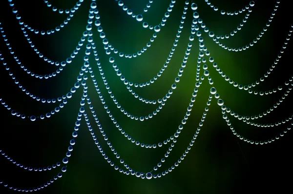 Toile d'araignée avec de nombreuses petites gouttes d'eau — Photo