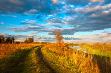 Sonbahar Güzelliği