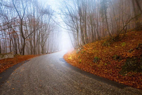 Camino a través de un bosque de otoño —  Fotos de Stock