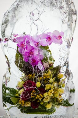 buz ile güzel çiçekler