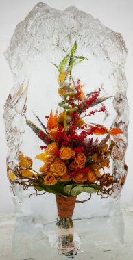 buz ile güzel çiçekler