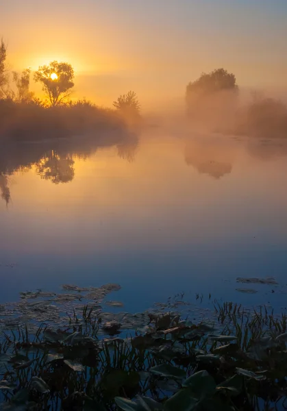 Pôr do sol — Fotografia de Stock