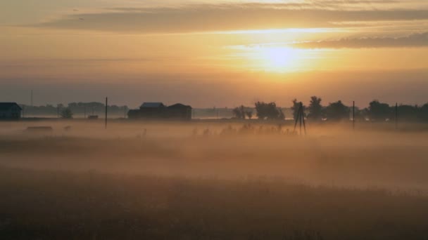 Туманні болото — стокове відео