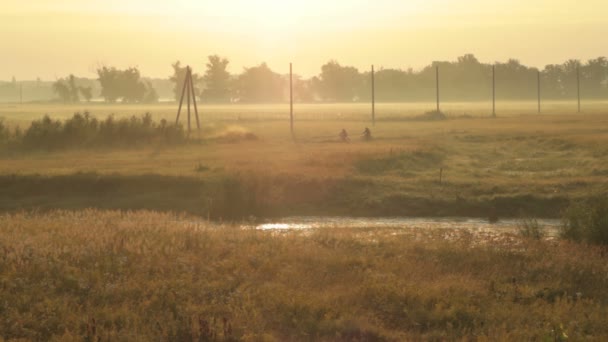 Palude nebbiosa — Video Stock