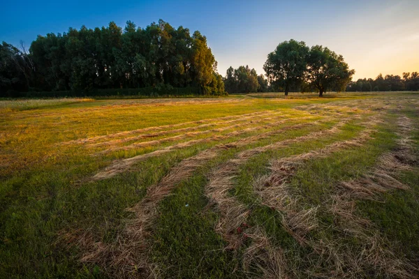 Salida del sol rural temprano en la mañana — Foto de Stock