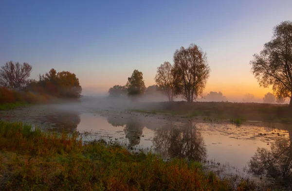 Herfst landschap, bomen in de mist bij dageraad — Stockfoto