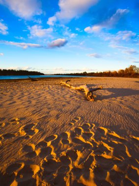 Güneşli bir günde nehir ve ağaçların sonbahar manzarasını izle