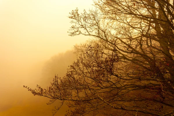 Majestätischer Sonnenuntergang in der Berglandschaft — Stockfoto