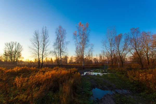 Vista na paisagem de outono de rio e árvores em dia ensolarado — Fotografia de Stock