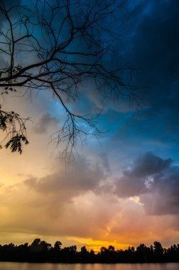 çıplak ağaçlar su yansıması ile göl üzerinde gündoğumu.