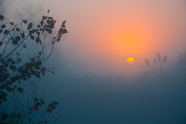 sabah gündoğumu peyzaj