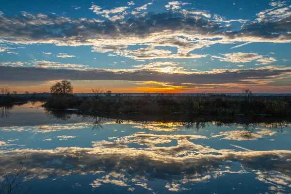 用反射光秃的树木在水中湖上空的日出. — 图库照片