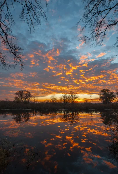 Sunrise over the lake with reflection of bare trees in the water. — Stock Photo, Image