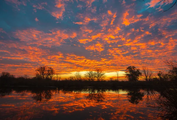 Sonnenaufgang über dem See mit Reflexion kahler Bäume im Wasser. — Stockfoto
