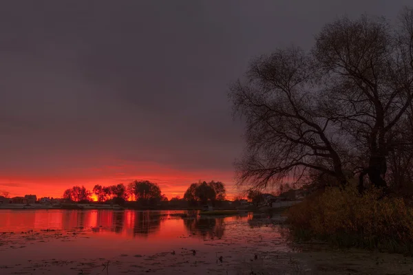 Wschód słońca nad jeziorem z odbiciem nagie drzewa w wodzie. — Zdjęcie stockowe