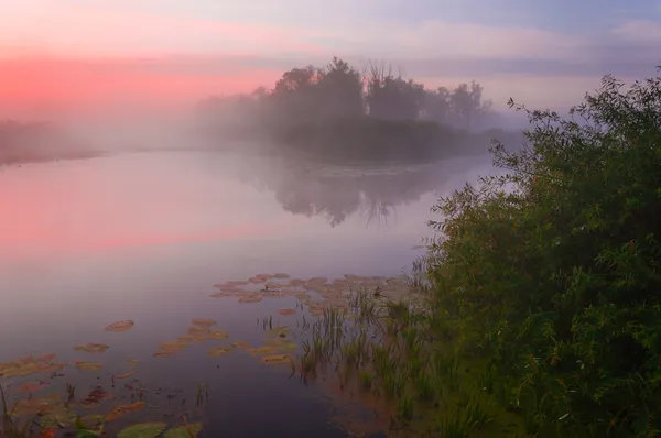 Zonsopgang boven het meer met weerspiegeling van kale bomen in het water. — Stockfoto