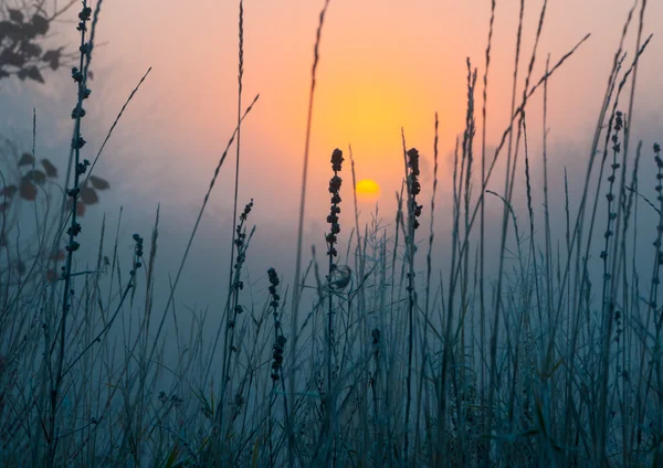 Paysage du lever du soleil du matin — Photo