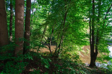 sıcak yaz gününde